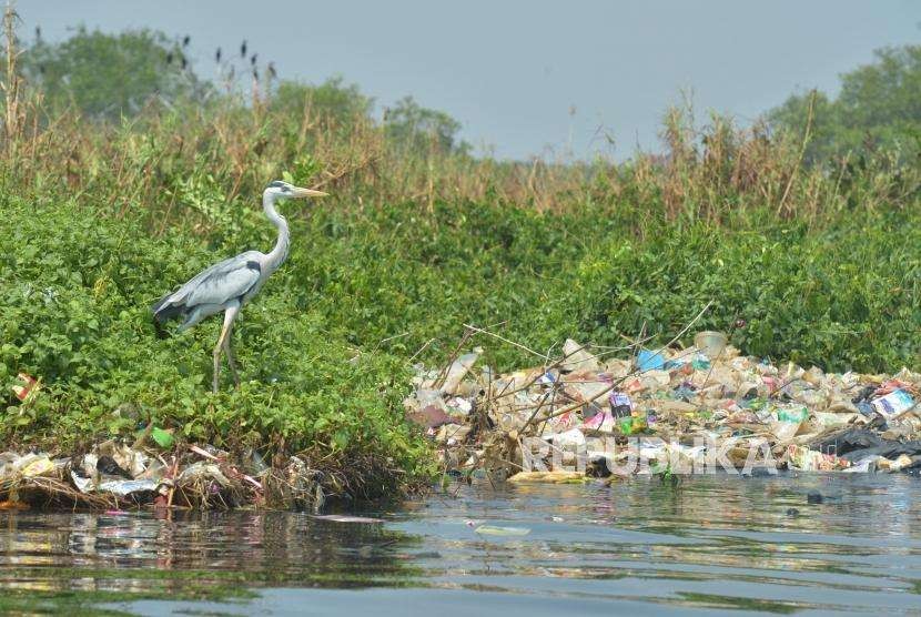 ilustrasi sungai tercemar